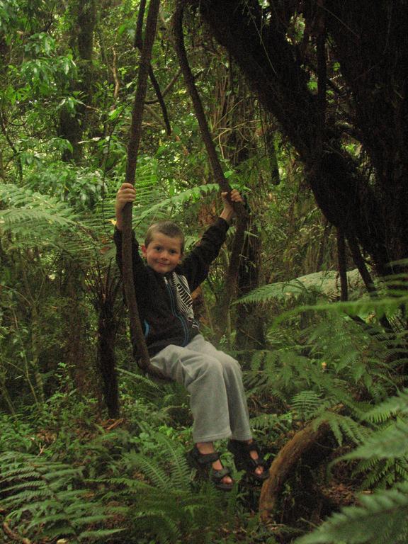 Catlins Newhaven Holiday Park Owaka Стая снимка