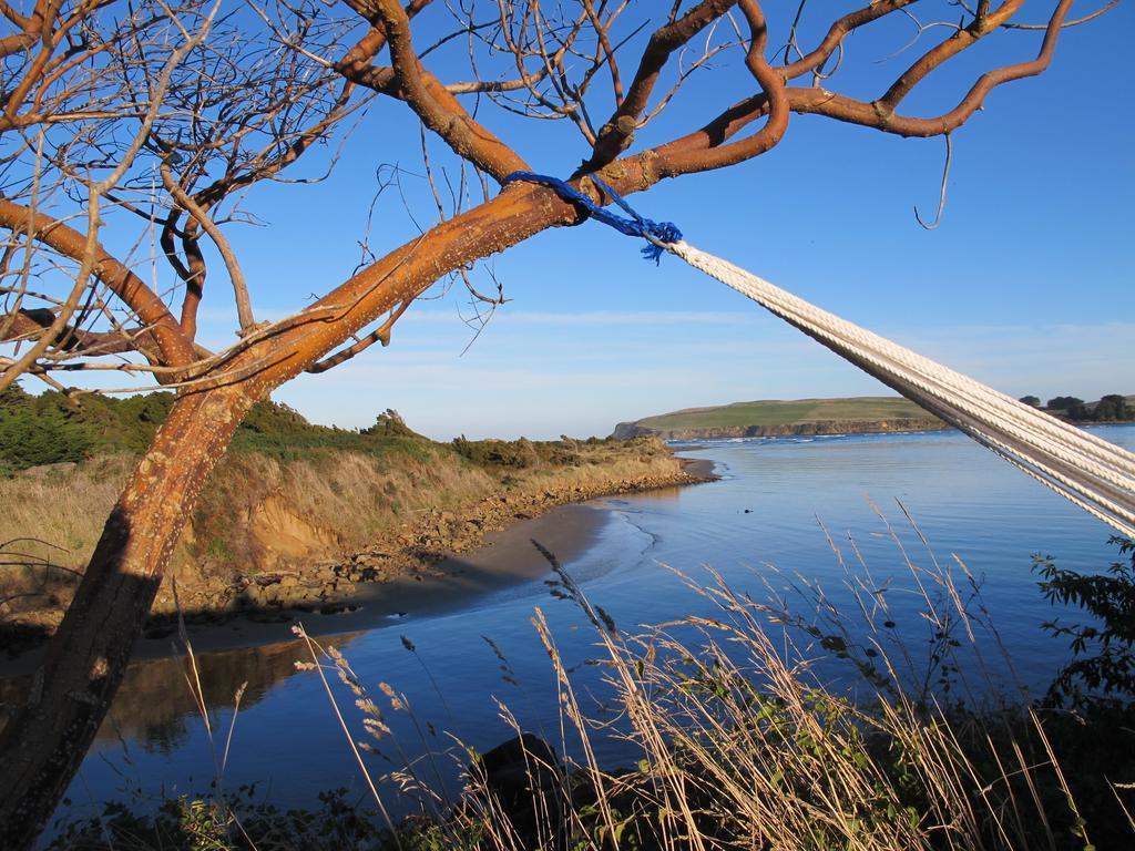Catlins Newhaven Holiday Park Owaka Стая снимка