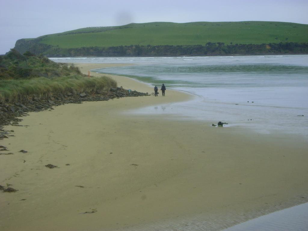 Catlins Newhaven Holiday Park Owaka Екстериор снимка