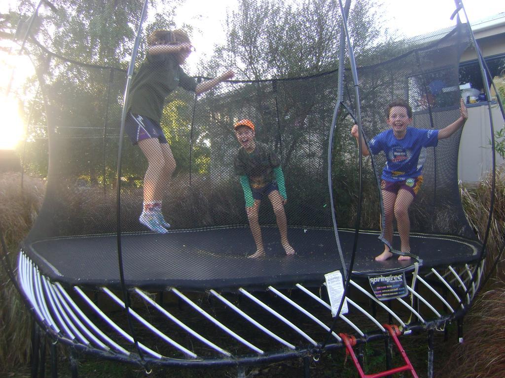 Catlins Newhaven Holiday Park Owaka Екстериор снимка