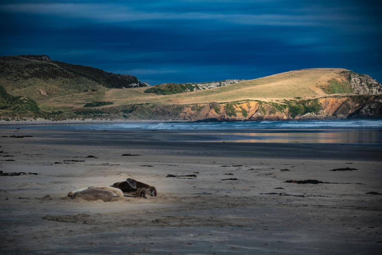 Catlins Newhaven Holiday Park Owaka Екстериор снимка
